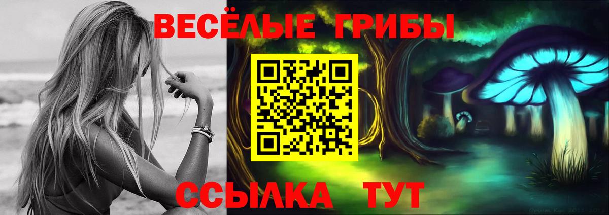 Рославль  Галлюциногенные грибы Cubensis  Вход с VPN  Псилоцибиновые грибы MAGIC MUSHROOMS 